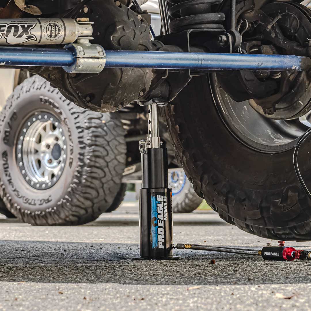 アルペラン・シェングン　SELECT AUTO PSA10 IN FlIGHT アルペラン・シェングン SELECT AUTO PSA10 IN FlIGHT 2021-22 Panini