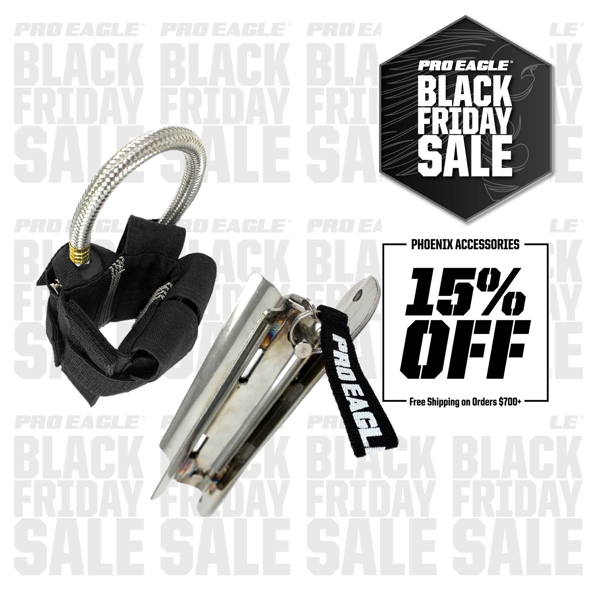 Phoenix Roll Bar Mount and Co2 holster